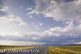 Highway and wildflowers